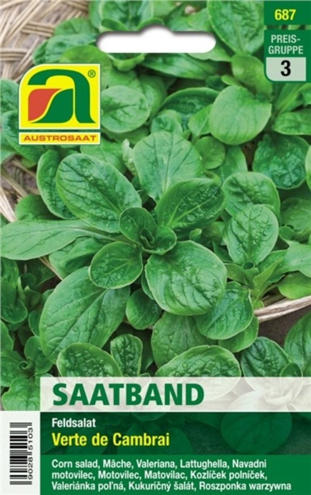 Fita de Sementes de Canónigos "Verte de Cambrai"