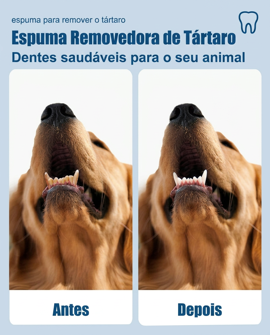 Comparação dos dentes do cão antes e depois de usar a espuma removedora de tártaro
