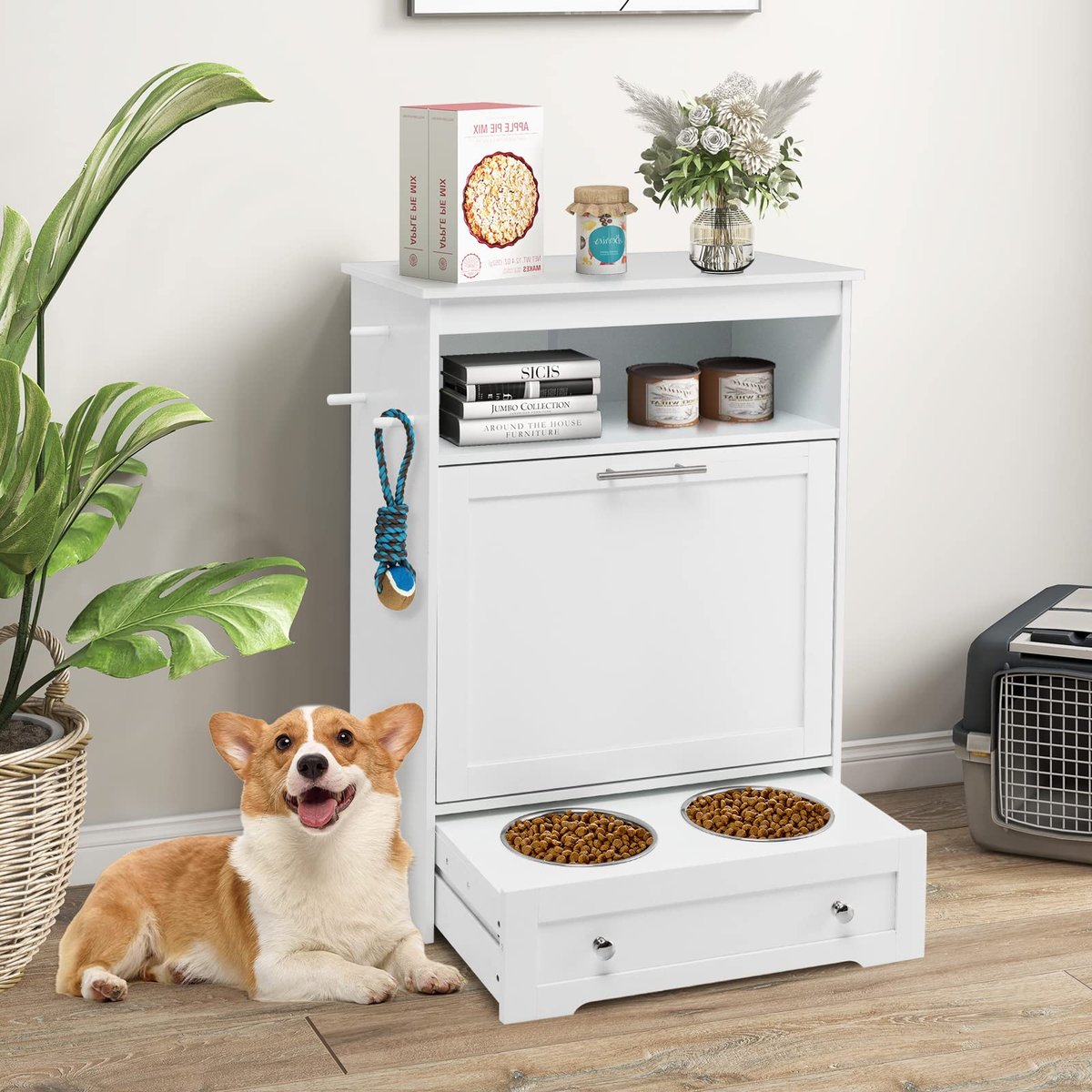 Estação de alimentação para cães na sala