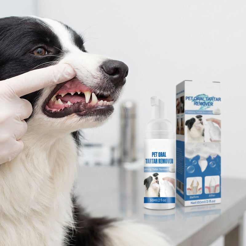 Cão a mostrar os dentes ao lado do frasco de espuma removedora de tártaro